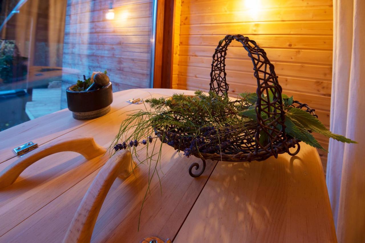 Pinus Villas Lodge With Private Jacuzzi & Phyto-Sauna Retreat Zheleznitsa Exteriör bild