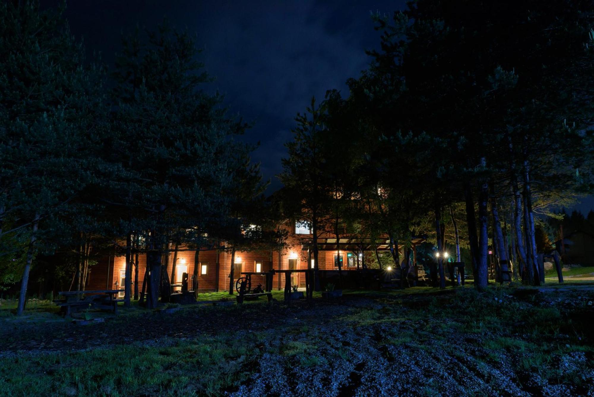 Pinus Villas Lodge With Private Jacuzzi & Phyto-Sauna Retreat Zheleznitsa Exteriör bild