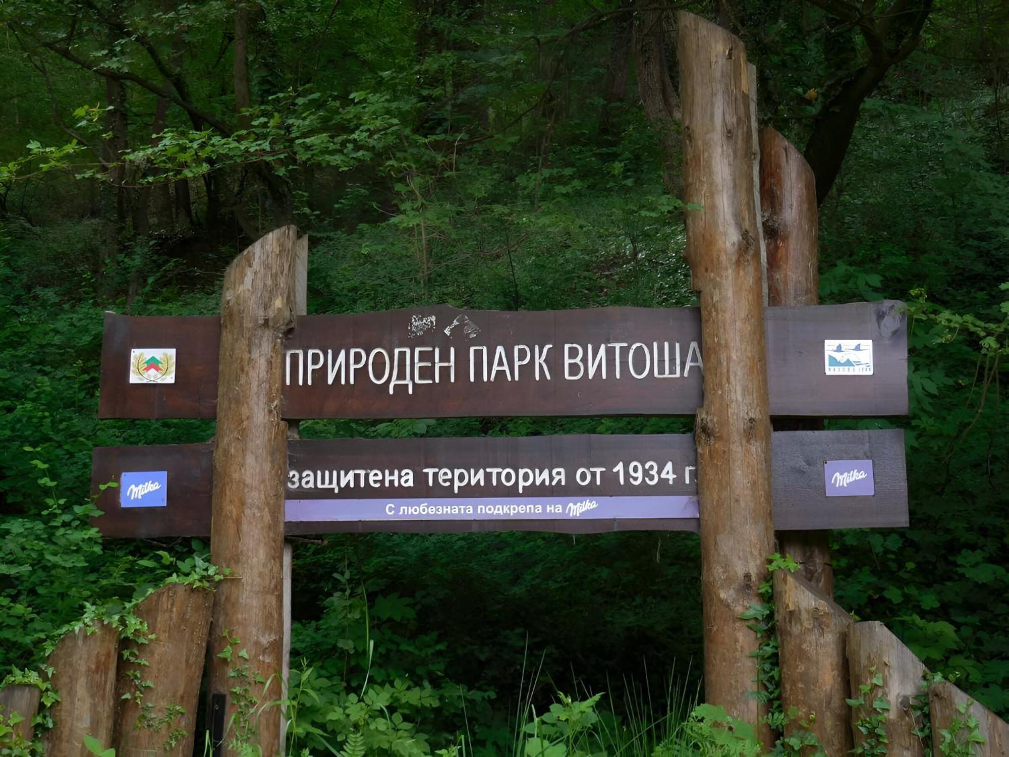 Pinus Villas Lodge With Private Jacuzzi & Phyto-Sauna Retreat Zheleznitsa Exteriör bild